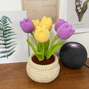 Crochet Pattern Tulip Flowerpot