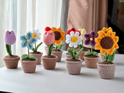 5 crochet flower in a pot patterns