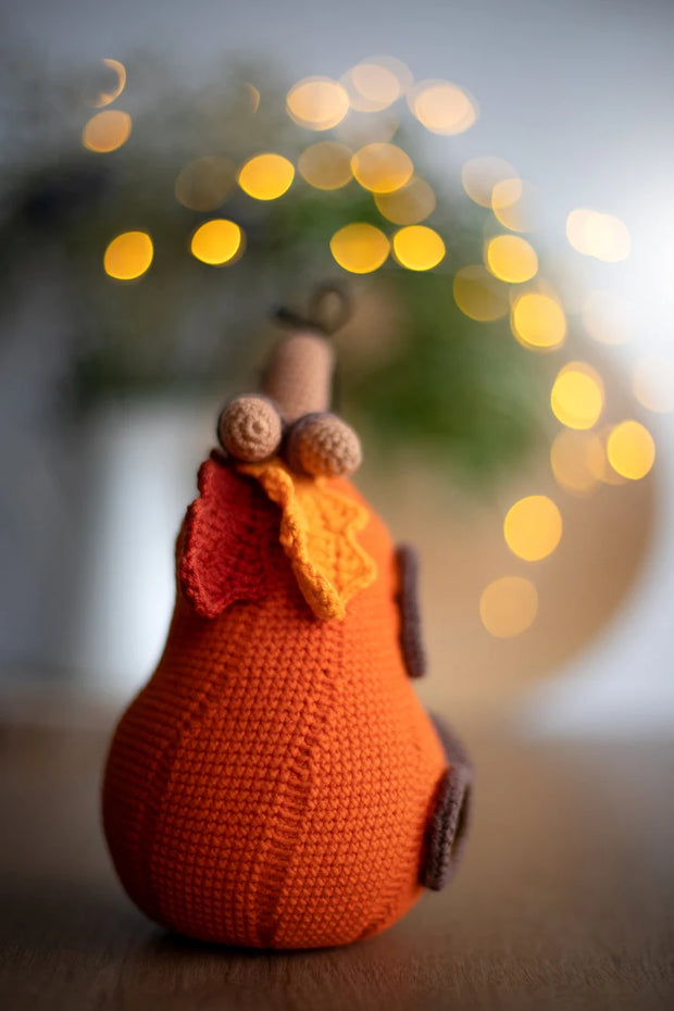 Amigurumi pattern crochet Pumpkin house